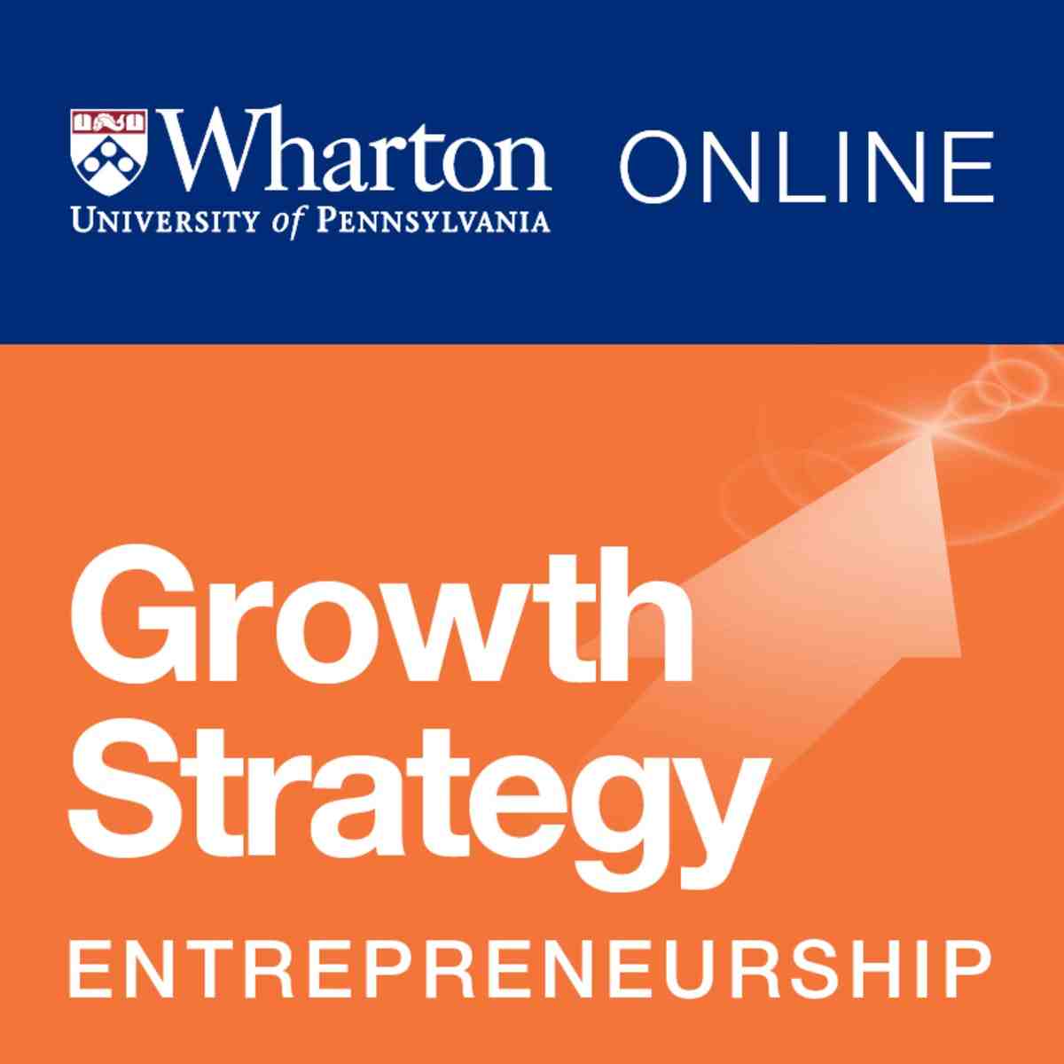 Pourquoi une stratégie de croissance ?