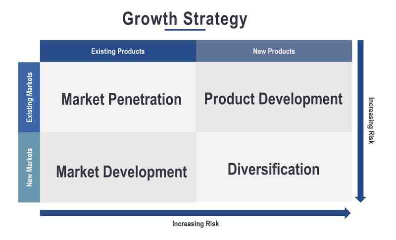 Quelles sont les stratégies de croissance ?