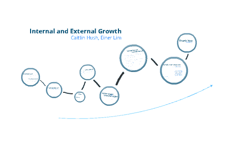 Quels sont les risques d'une croissance externe ?