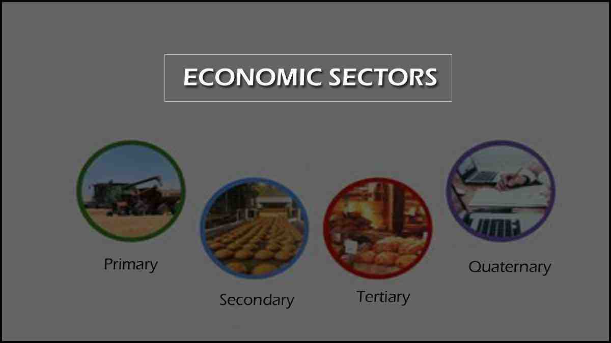 Quel est le rôle du secteur secondaire ?