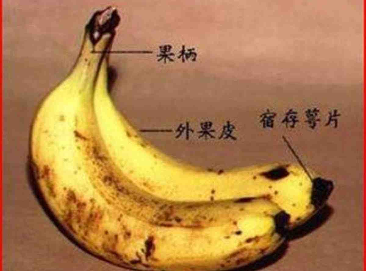 Est-ce que la banane fait grossir le ventre ?
